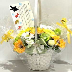 Ԃ  ăMtg  \[vt[ oXPbg18{^Cv  c AW V{t[ \[vt[ Mtg