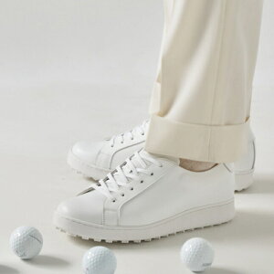 StV[Y  StV[Y XpCNX St C {v I[_[V[Y C