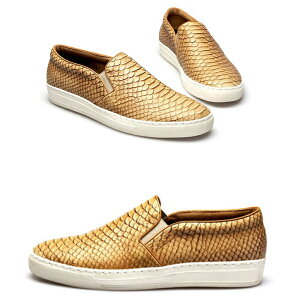 Xb| U[Xj[J[  Xj[J[ Y {vXj[J[ YV[Y 傫TCY C TCY C CY Cʔ SHAREnhCh {v