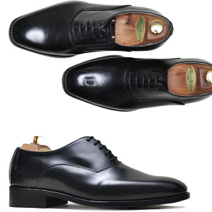 rWlXV[Y vC U[V[Y  IbNXtH[h YV[Y 傫TCY C TCY C CY Cʔ SHAREnhCh {v