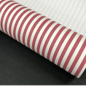   bsO ԕ Mtg Ɩp bsOpi