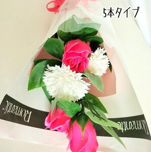 \[vt[ ԑ KN 5{ ԑ AW V{t[ \[vt[ Mtg