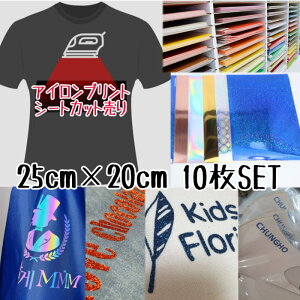 ACvgV[g 25cm×20cm 10 PF  Ob^[ zO Ob^[V[g LL AC JbeBOV[g ACV[g