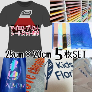 ACvgV[g 25cm×20cm 5 PF  Ob^[ zO Ob^[V[g LL AC JbeBOV[g ACV[g