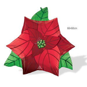 o[NX}X |CZ`A NX}X D NX}X a p[eB[ Cxg X܉o t p[eB t TvCY