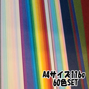 �F��p�� �i116g A4 60�FSET�j���`�� �J���[�y�[�p�[ A4�F�� �H��p�� �؂�GA4�T�C�Y �H�� ���R���� �J�b�e�B���O�}�V��