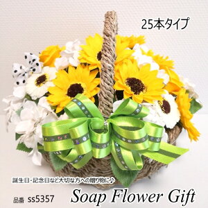 \[vt[ Ԃ{^Cv Ђ܂25{ ͂Ȃ oXPbg V{t[ \[vt[ Mtg