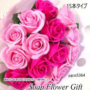 \[vt[ ԑ KN 15{ ԑ AW V{t[ \[vt[ Mtg