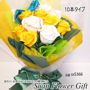 \[vt[ ԑ KN 10{ ԑ AW V{t[ \[vt[ Mtg