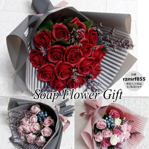 \[vt[ ԑ KN 15{ ԑ AW V{t[ \[vt[ Mtg