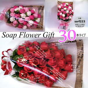 \[vt[ ԑ KN 30{ ԑ AW V{t[ \[vt[ Mtg