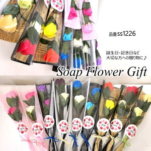 \[vt[  KN2{ ԑ AW V{t[ \[vt[ Mtg