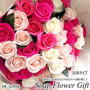 \[vt[ 50{ KN 50{ ԑ KN ԑ AW V{t[ \[vt[ Mtg