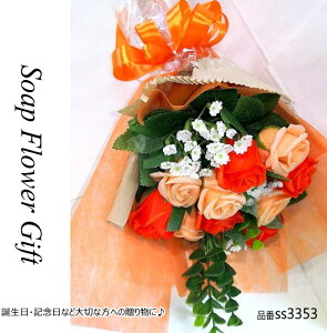 \[vt[ ԑ KN 15{ ԑ AW V{t[ \[vt[ Mtg