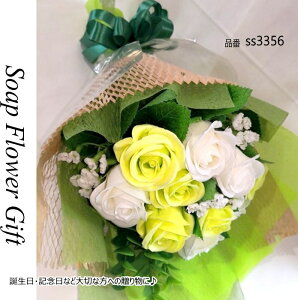 \[vt[ ԑ KN 15{ ԑ AW V{t[ \[vt[ Mtg