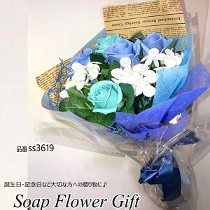 \[vt[ ԑ KN 10{ ԑ AW V{t[ \[vt[ Mtg