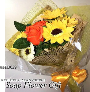 \[vt[ ԑ KN 10{ ԑ AW V{t[ \[vt[ Mtg