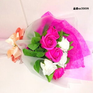 \[vt[ 10{ ԑ KN 10{ ԑ AW V{t[ \[vt[ Mtg