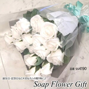 \[vt[ 15{ ԑ KN ԑ AW V{t[ \[vt[ Mtg