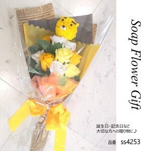 \[vt[ ԑ KN 10{ ԑ AW V{t[ \[vt[ Mtg