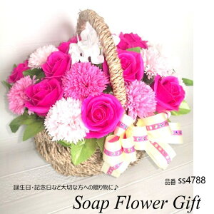 Ԃ 30{^Cv \[vt[ KN ͂Ȃ oXPbg KN [Y