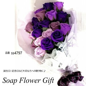 \[vt[ ԑ KN 20{ ԑ AW V{t[ \[vt[ Mtg