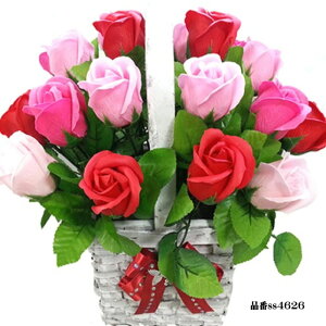 Ԃ \[vt[ 25{^Cv KN ͂Ȃ oXPbg KN [Y