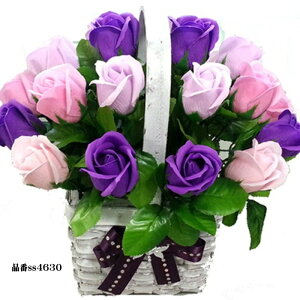 Ԃ \[vt[ 20{^Cv KN ͂Ȃ oXPbg KN [Y