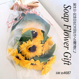 ̓ \[vt[ ԑ Ђ܂ ԑ AW V{t[ \[vt[ Mtg