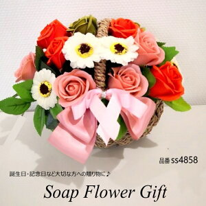 Ԃ 22{^Cv \[vt[ KN ͂Ȃ oXPbg KN [Y