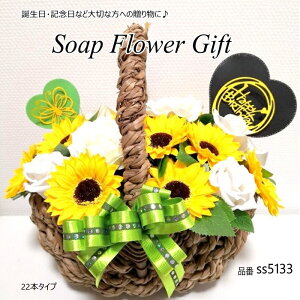 \[vt[ Ԃ22{^Cv Ђ܂ ͂Ȃ oXPbg V{t[ \[vt[ Mtg