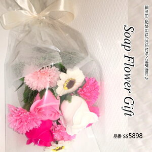 ̓  \[vt[ ԑ KN { ԑ AW V{t[ \[vt[ Mtg