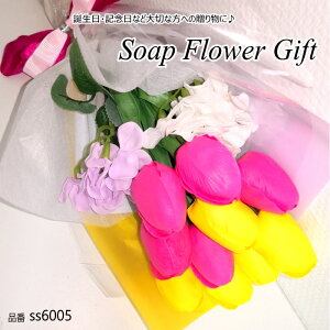 \[vt[ԑ `[bv12{ ԑ ͂Ȃ