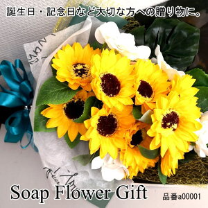 ̓ \[vt[ ԑ Ђ܂ 15{ ԑ AW V{t[ \[vt[ Mtg