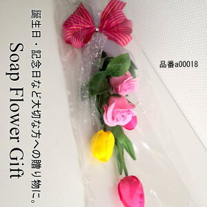 \[vt[ԑ `[bv KN 5{^Cv ԑ ͂Ȃ