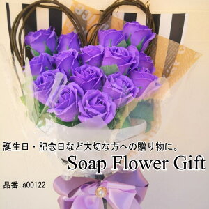 \[vt[ ԑ KN 15{ ԑ AW V{t[ \[vt[ Mtg