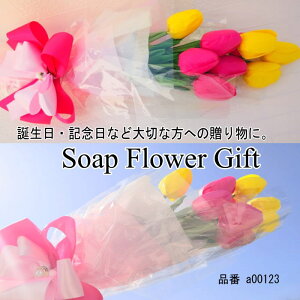 \[vt[ ԑ `[bv 10{ ԑ u[P Mtg