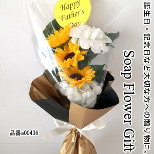 ̓ \[vt[ ԑ Ђ܂ 5{ ԑ AW V{t[ \[vt[ Mtg