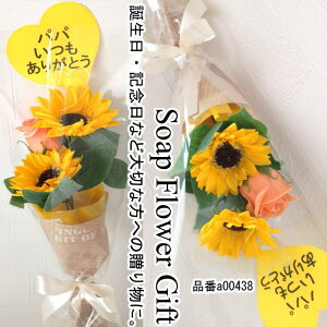 \[vt[ ԑ KN Ђ܂ 3{ ԑ AW V{t[ \[vt[ Mtg