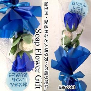 ̓  \[vt[ 2 KN2{ ԑ AW V{t[ \[vt[ Mtg