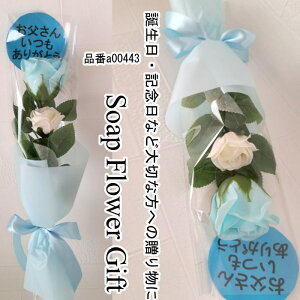 ̓  \[vt[ 2 KN2{ ԑ AW V{t[ \[vt[ Mtg