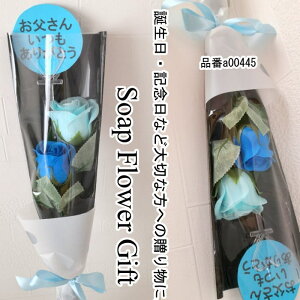 ̓ \[vt[ ԑ KN 2 { ԑ AW V{t[ \[vt[ Mtg