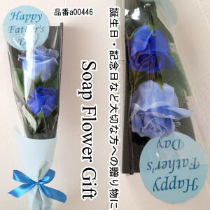 ̓  \[vt[ 2 KN2{ ԑ AW V{t[ \[vt[ Mtg