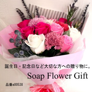 \[vt[ ԑ KN 15{ ԑ AW V{t[ \[vt[ Mtg