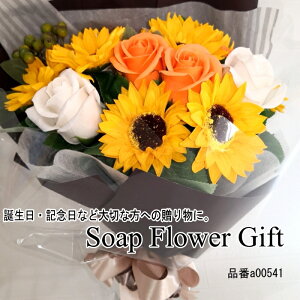 ̓ \[vt[ ԑ Ђ܂ KN 20{ ԑ AW V{t[ \[vt[ Mtg