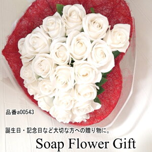 \[vt[ ԑ 21{^Cv KN ԑ AW V{t[ \[vt[ Mtg