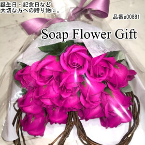 \[vt[ ԑ KN 15{ ԑ AW V{t[ \[vt[ Mtg