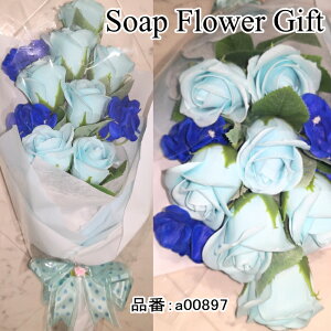 \[vt[ ԑ KN 10{ ԑ AW V{t[ \[vt[ Mtg