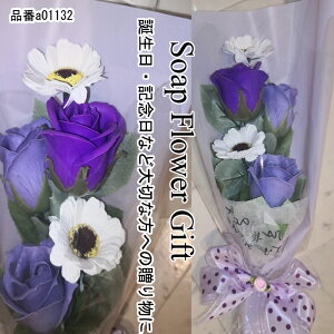 hV̓ \[vt[ ԑ KN 5{ KN Mtg u[P