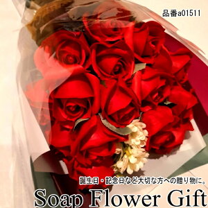 \[vt[ ԑ KN { ԑ AW V{t[ \[vt[ Mtg